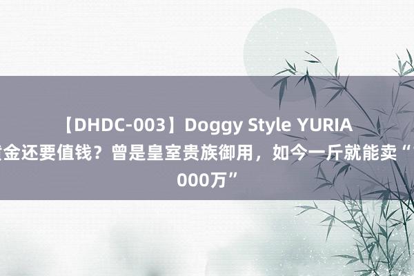 【DHDC-003】Doggy Style YURIA 粪便比黄金还要值钱？曾是皇室贵族御用，如今一斤就能卖“1000万”