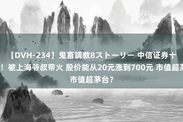 【DVH-234】鬼畜調教8ストーリー 中信证券十连阳！被上海爷叔带火 股价能从20元涨到700元 市值超茅台？