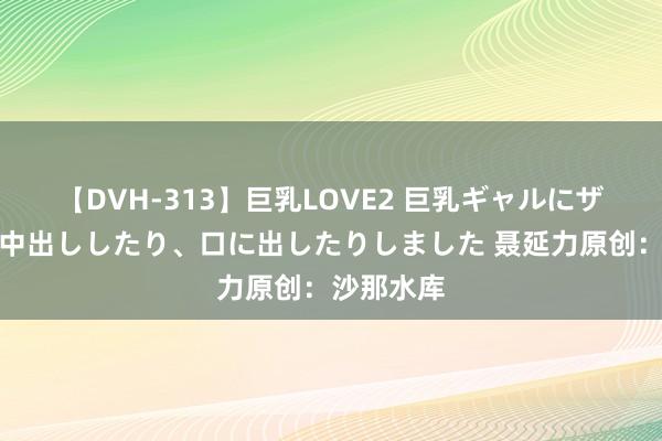 【DVH-313】巨乳LOVE2 巨乳ギャルにザーメンを中出ししたり、口に出したりしました 聂延力原创：沙那水库