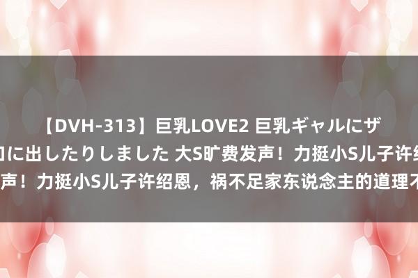 【DVH-313】巨乳LOVE2 巨乳ギャルにザーメンを中出ししたり、口に出したりしました 大S旷费发声！力挺小S儿子许绍恩，祸不足家东说念主的道理不懂吗？