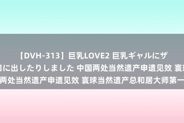 【DVH-313】巨乳LOVE2 巨乳ギャルにザーメンを中出ししたり、口に出したりしました 中国两处当然遗产申遗见效 寰球当然遗产总和居大师第一