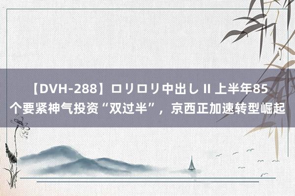 【DVH-288】ロリロリ中出し II 上半年85个要紧神气投资“双过半”，京西正加速转型崛起