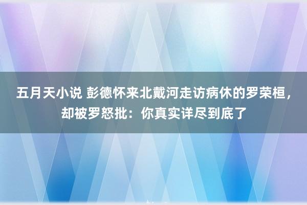 五月天小说 彭德怀来北戴河走访病休的罗荣桓，却被罗怒批：你真实详尽到底了