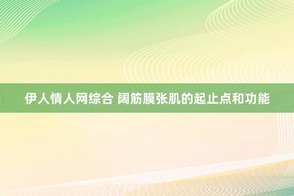 伊人情人网综合 阔筋膜张肌的起止点和功能