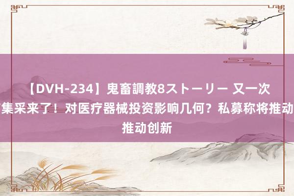 【DVH-234】鬼畜調教8ストーリー 又一次医疗集采来了！对医疗器械投资影响几何？私募称将推动创新