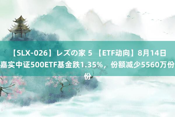 【SLX-026】レズの家 5 【ETF动向】8月14日嘉实中证500ETF基金跌1.35%，份额减少5560万份