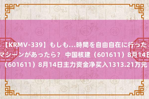 【KRMV-339】もしも…時間を自由自在に行ったり来たりできるタイムマシーンがあったら？ 中国核建（601611）8月14日主力资金净买入1313.21万元