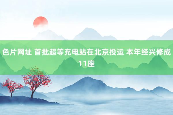 色片网址 首批超等充电站在北京投运 本年经兴修成11座