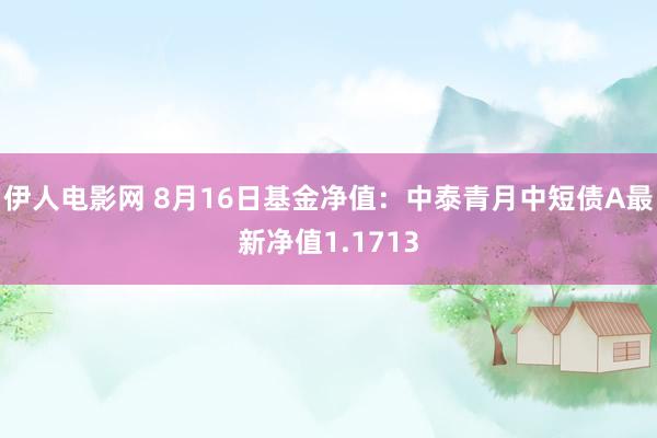 伊人电影网 8月16日基金净值：中泰青月中短债A最新净值1.1713