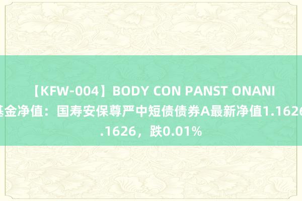 【KFW-004】BODY CON PANST ONANIE 8月16日基金净值：国寿安保尊严中短债债券A最新净值1.1626，跌0.01%