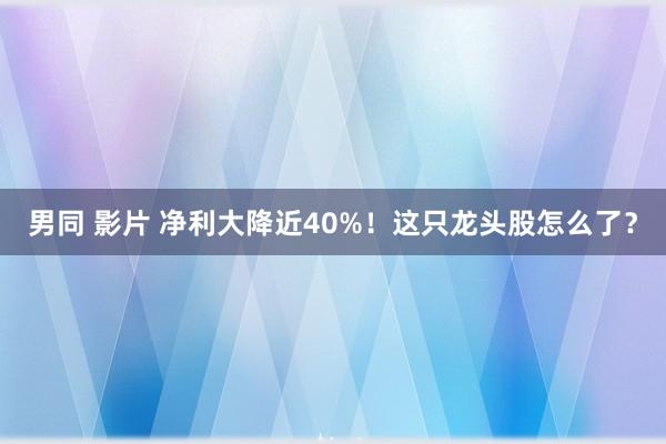 男同 影片 净利大降近40%！这只龙头股怎么了？