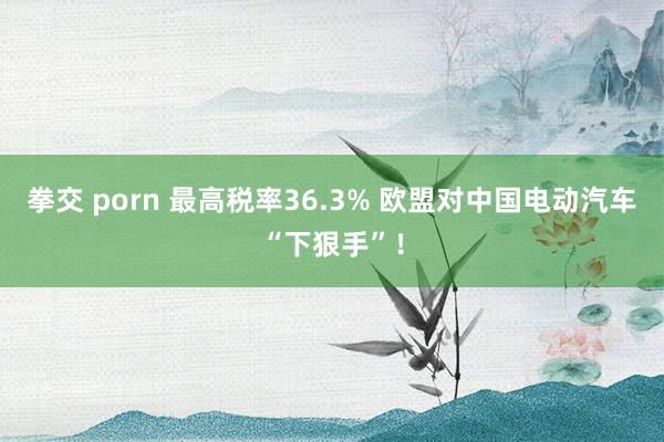 拳交 porn 最高税率36.3% 欧盟对中国电动汽车“下狠手”！