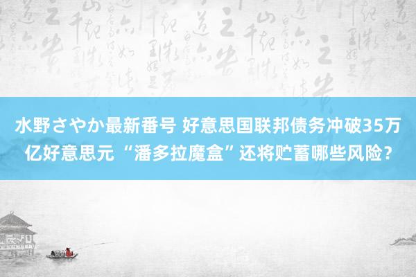 水野さやか最新番号 好意思国联邦债务冲破35万亿好意思元 “潘多拉魔盒”还将贮蓄哪些风险？