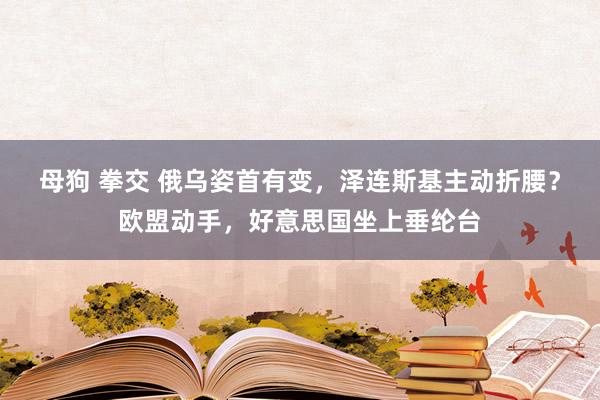 母狗 拳交 俄乌姿首有变，泽连斯基主动折腰？欧盟动手，好意思国坐上垂纶台