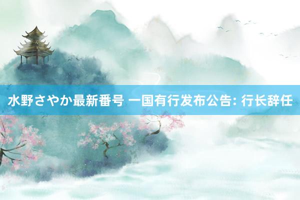 水野さやか最新番号 一国有行发布公告: 行长辞任