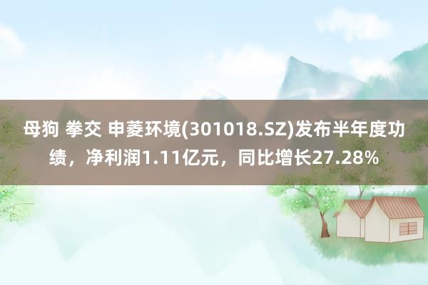 母狗 拳交 申菱环境(301018.SZ)发布半年度功绩，净利润1.11亿元，同比增长27.28%