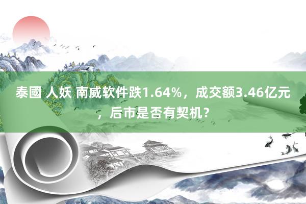 泰國 人妖 南威软件跌1.64%，成交额3.46亿元，后市是否有契机？