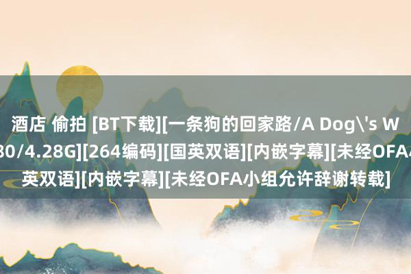 酒店 偷拍 [BT下载][一条狗的回家路/A Dog's Way Home][BD1080/4.28G][264编码][国英双语][内嵌字幕][未经OFA小组允许辞谢转载]