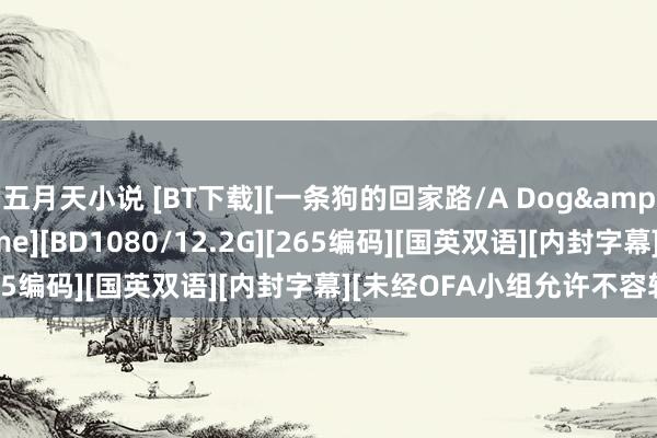 五月天小说 [BT下载][一条狗的回家路/A Dog&#039;s Way Home][BD1080/12.2G][265编码][国英双语][内封字幕][未经OFA小组允许不容转载]