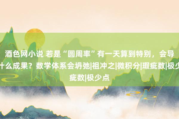 酒色网小说 若是“圆周率”有一天算到特别，会导致什么成果？数学体系会坍弛|祖冲之|微积分|瑕疵数|极少点