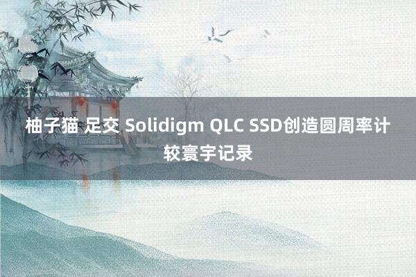 柚子猫 足交 Solidigm QLC SSD创造圆周率计较寰宇记录