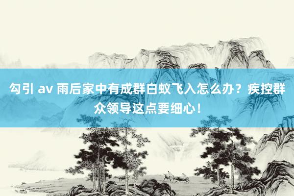 勾引 av 雨后家中有成群白蚁飞入怎么办？疾控群众领导这点要细心！