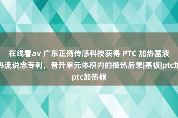 在线看av 广东正扬传感科技获得 PTC 加热器液体换热流说念专利，晋升单元体积内的换热后果|基板|ptc加热器