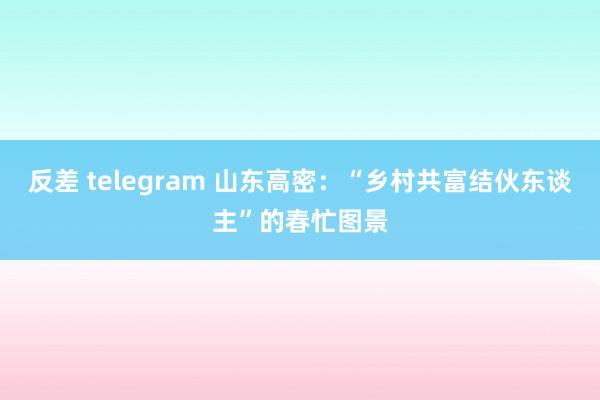 反差 telegram 山东高密：“乡村共富结伙东谈主”的春忙图景